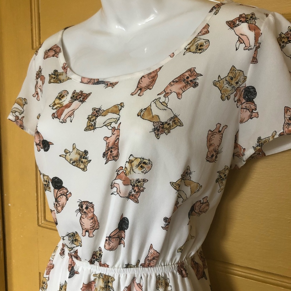 🐱 ModCloth Peaches n Cream kitten cat dress sz M